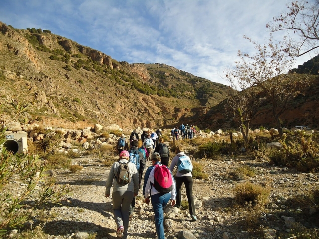  Passeggiata di gruppo